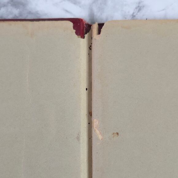 Photocharts Theory & Practice Of Exposure by Hamilton Allport 1938 - Picture 4 of 16